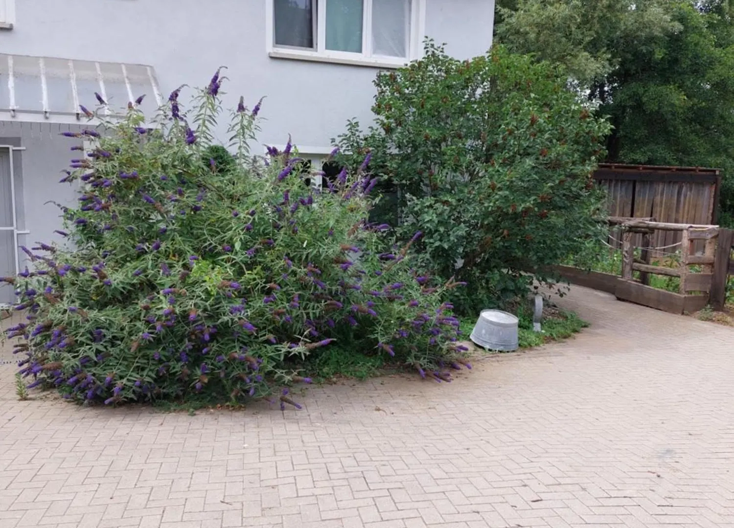 Apartment Schöne Wohnung direkt am Bach Neunkirchen am Sand Deutschland